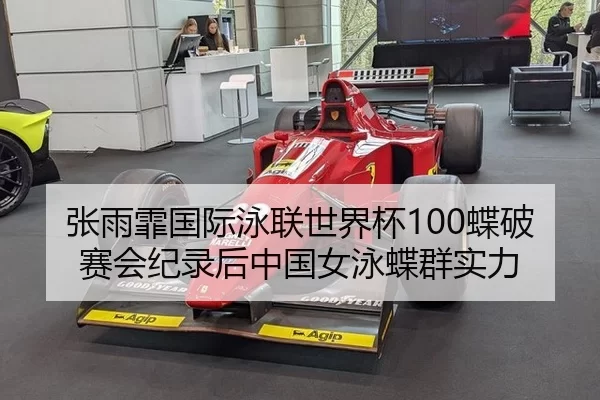zhang-yu-fei-guo-ji-yong-lian-shi-jie-bei-die-po-sai-hui-ji-lu-hou-zhong-guo-nv-yong-die-qun-shi-li-3-279.jpg