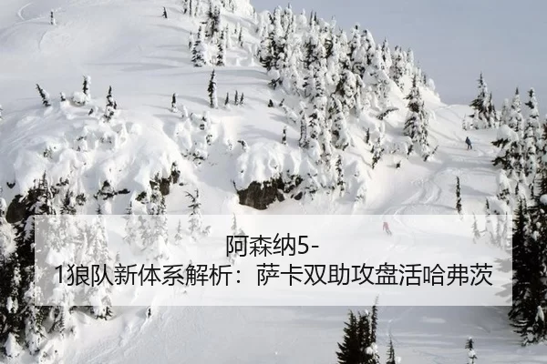 a-sen-na-lang-dui-xin-ti-xi-jie-xi-sa-ka-shuang-zhu-gong-pan-huo-ha-fu-ci-3-431.jpg